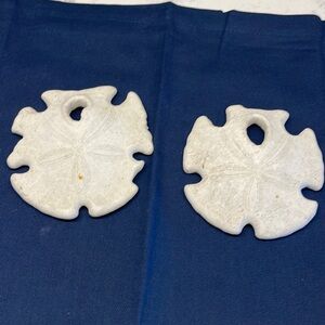 Shells Mexican arrow head beach sand dollars